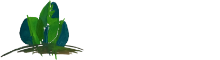Arboreto de Barcelos